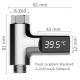 Dusch-Thermometer mit LED-Display